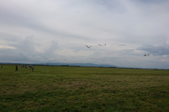 DSC_1843