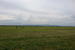 DSC_1845