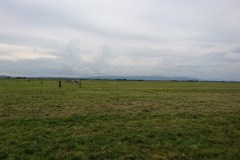 DSC_1846