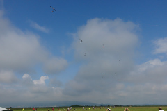 DSC_1950