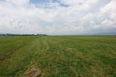DSC_1954