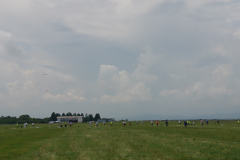 DSC_1955