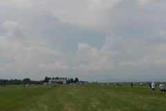 DSC_1958