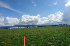 DSC_1991