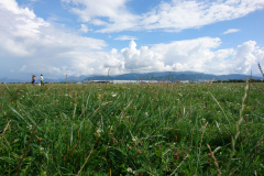 DSC_1997