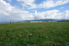 DSC_1998