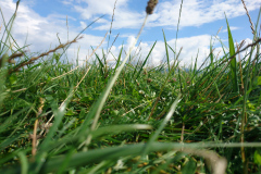 DSC_1999