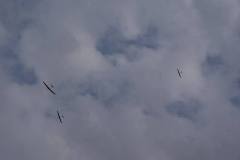 42720566_2151763601522298_6727682814503813120_n