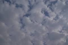 42791041_2151763704855621_749728675145973760_n