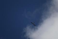 IMG_2205