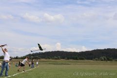 IMG_7101