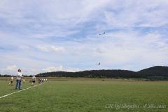IMG_7110