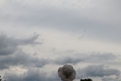 IMG_7120