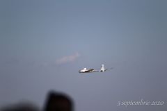 Fulga2020_43