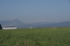 SONY DSC