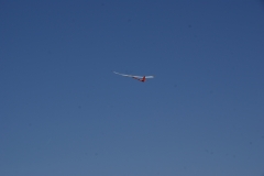 SONY DSC
