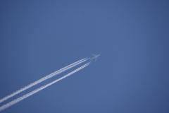SONY DSC