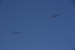 SONY DSC