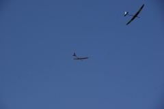 SONY DSC