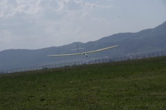 SONY DSC