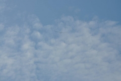 21231811_1092896600845526_5632686076319427707_n