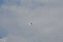 21317860_1092896554178864_4478041867101296436_n