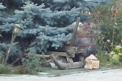 CAM00591