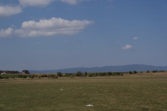 SONY DSC