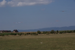 SONY DSC