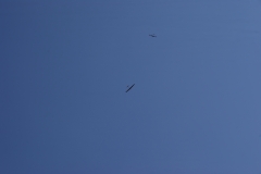 SONY DSC