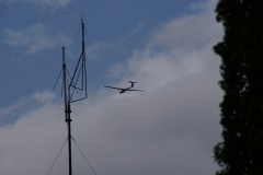 SONY DSC