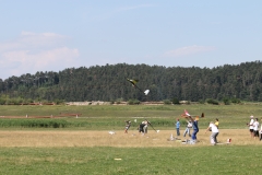 IMG_5517