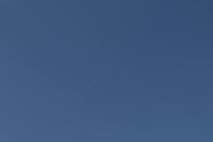 IMG_5808