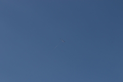 IMG_5809