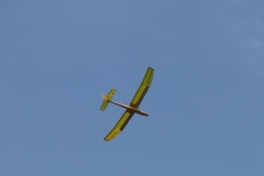 n6pdo8