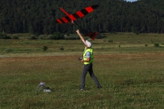 13606772_1240517865980214_4986158897811050423_n
