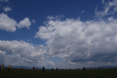 SONY DSC
