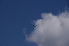 SONY DSC