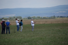 SONY DSC