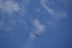 SONY DSC