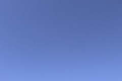 21192624_1672991366066193_3522571583679873936_n
