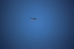 IMG_1650
