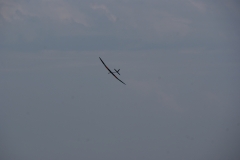 SONY DSC