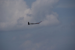 SONY DSC