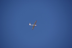 SONY DSC