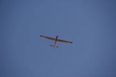 SONY DSC