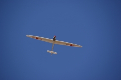 SONY DSC