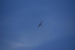 12105796_912661338820316_331498731911372418_n