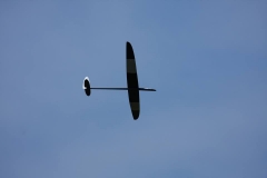 12795520_978225208930595_4538783946033064935_n